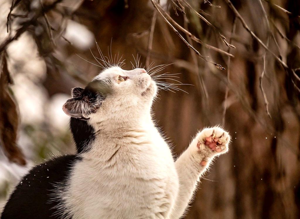 Portrait of CTO Maria Kowalska