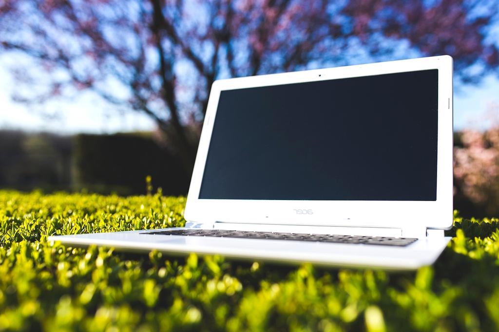 Consciousness-like patterns emerging from digital neural networks