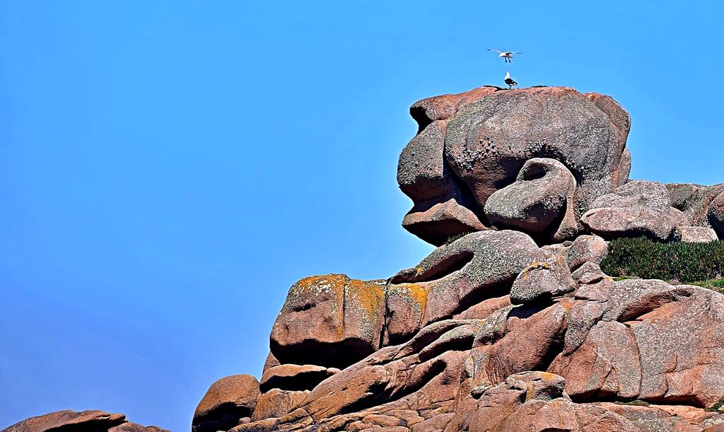 DNA helix representing self-replicating code structures