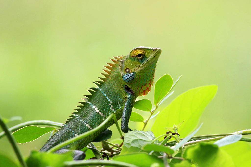 Neural network processing icon representing AI-driven connectivity